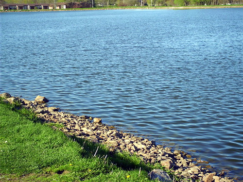 park lake water grass rock stone wisconsin pond greenery wildwood wi citypark marshfield upperpond bodyofwater centralwisconsin marshfieldwi cityofmarshfield