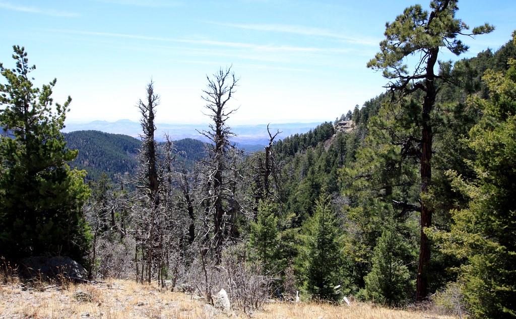 Old Mineral Creek