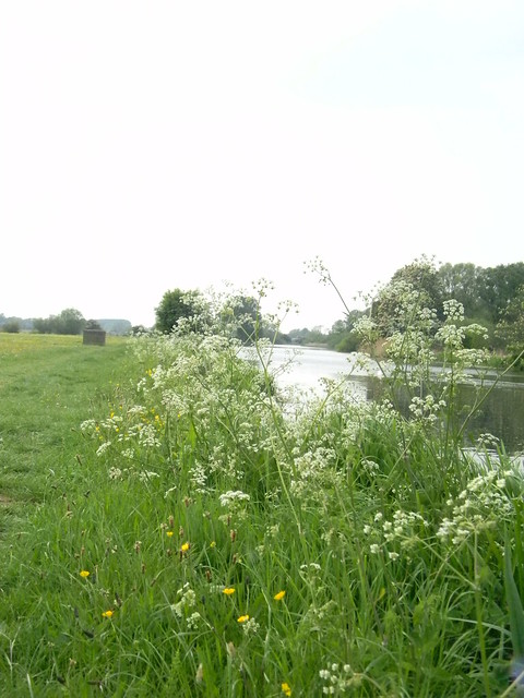 Water scene Huntingdon Circular