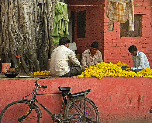 flowers in a Delhi temple