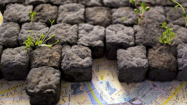 Edible Cobblestones (with growth)