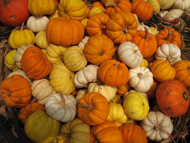 Colourful pumpkins