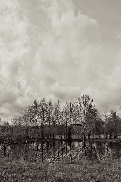 Sky over Shoveler's Pond
