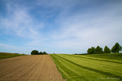 farmland