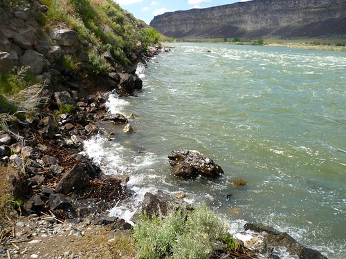 river waves idaho snakeriver riverbank kuna desertflora owyhee nationalconservationarea swanfalls