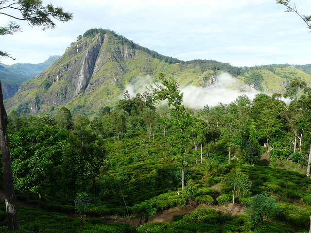 Little Adam's Peak en Ella (Sri Lanka)