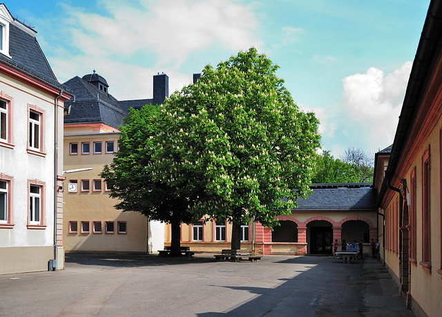 Bruchsaler Schulen: Schönborn-Gymnasium