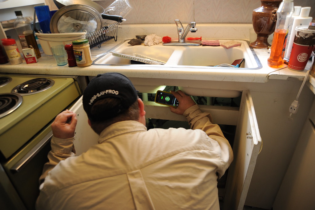 Checking Out Under The Kitchen Sink Looking For Ants Slu