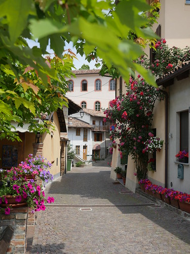 Piemonte 2015 | by Tappo Winebar