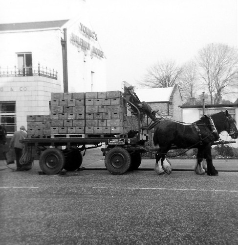 Youngs Brewery horse-drawn dray at Halfway House (original), 433 Garratt Lane, SW18 | by petercousins39