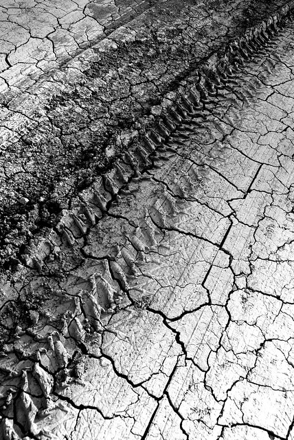 Tire Tracks, Carrizo Plain National Monument, California