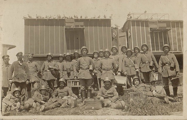 Signal Troops with Pigeons