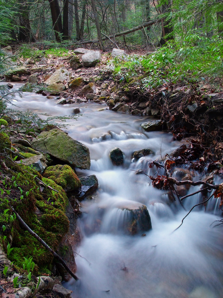 Bear Run Ridge Bear Run Natural Area (1) | Bear Run, Centre County, within … | Flickr