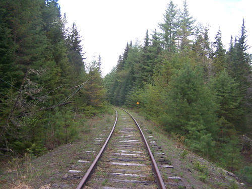 railroad wild mountain forest andyarthur vanderwhacker