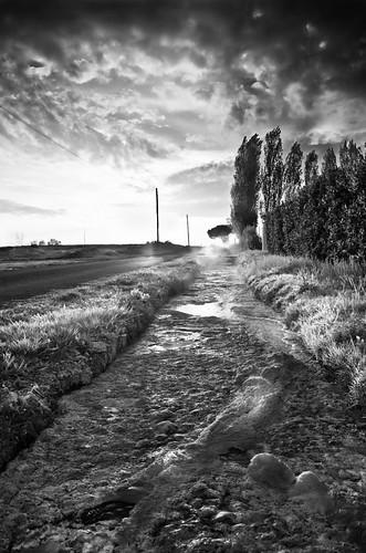 Acque sulfuree - veduta due in B&W by Willycaster, Il Bullicame (Viterbo)