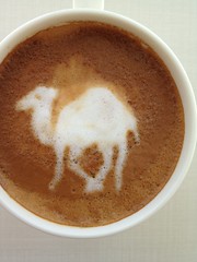 Today's latte, Perl.
