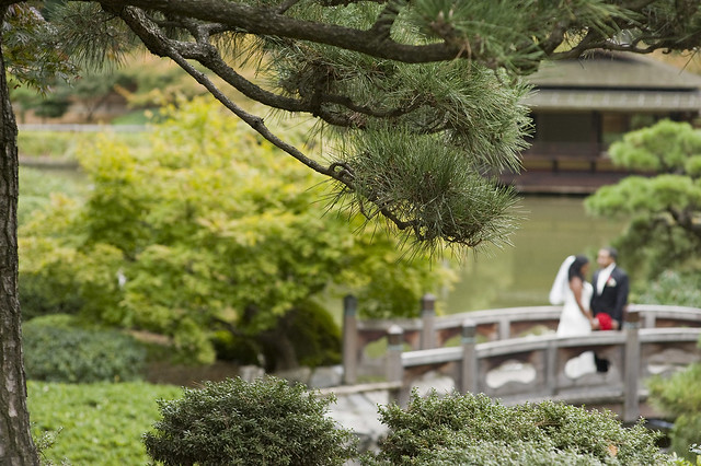 Japanese Hill-and-Pond Garden Wedding