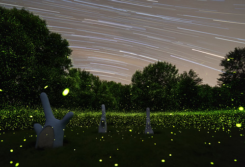 nightphotography landscape uiuc firefly fireflies meadowbrookpark startrail publicset