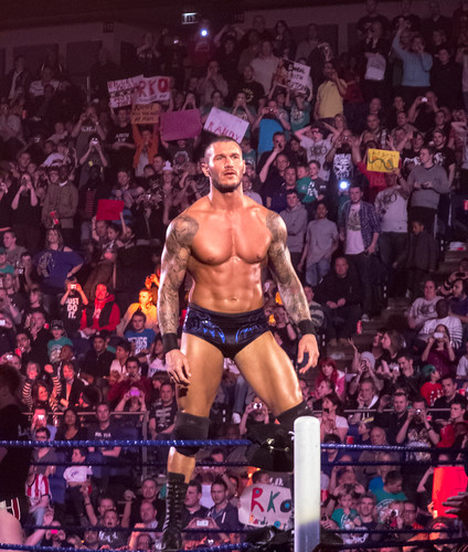 Randy Orton, Big Show & Sheamus vs. Daniel Bryan, Mark Henry & Cody Rhodes | by simononly
