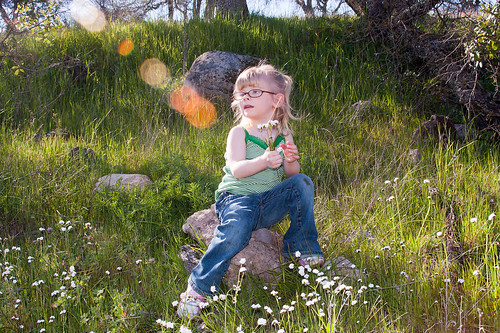 flowers tree girl grass canon pose landscape photo spring model day child play faith country young trail photograph wildflower 40d
