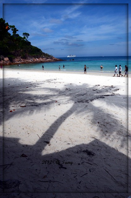 Shadow of coconut tree on white sandy beach