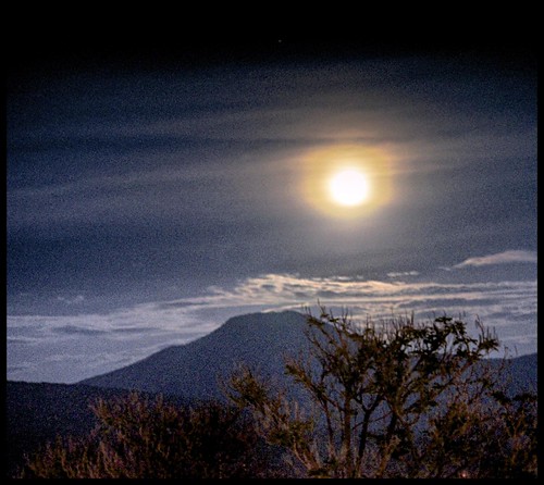BEATA Y LUNA by NIKONIANO, 
