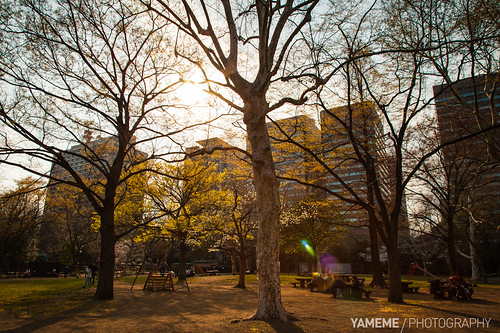 日比谷黃昏 Hibiya Park / Tokyo, Japan by yameme