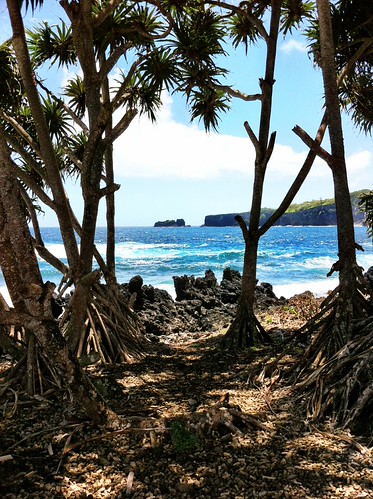 Ke'anae Peninsula | by booturtle
