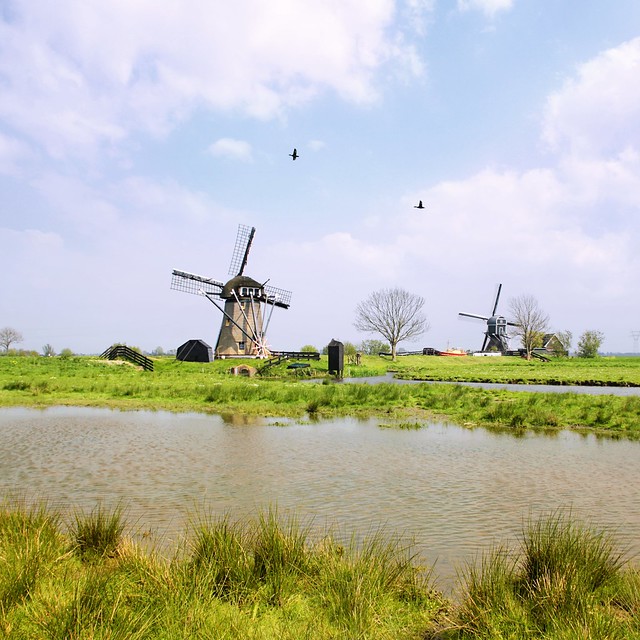Doeshofmolen and Achthovense mill in the greenheart of Holland