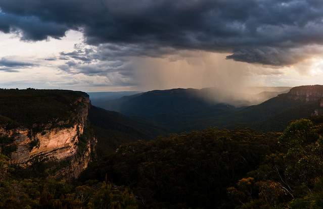 Rain in  the Blue Mountains