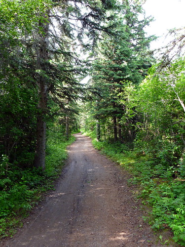 nature path walk hike
