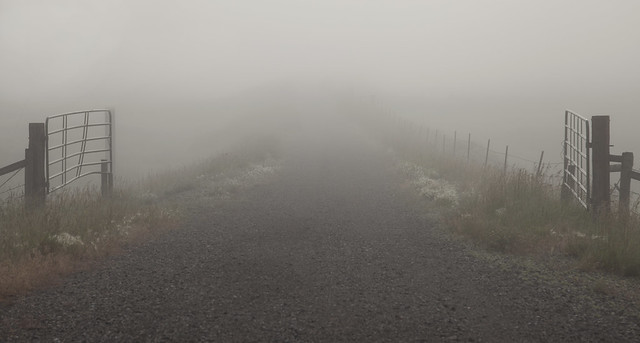 A Road Leading to Nowhere - HFF