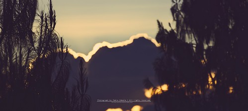 sony a6000 ilce 6000 sky colombia landscape cundinamarca nemocon mirrorless emount sel55210 pine trees sunset twilight