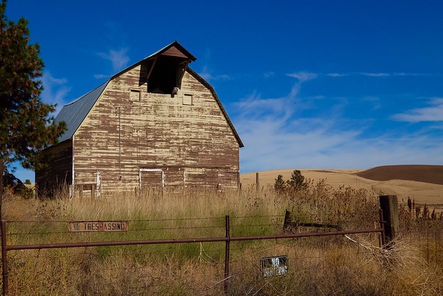 Old Barn On The Palouse