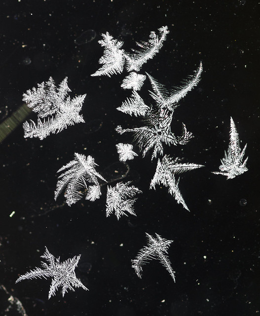 Frost Cluster