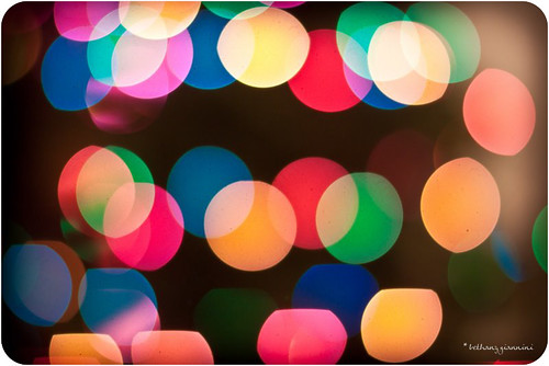 christmas pink blue red orange tree green colors yellow fun happy lights holidays colorful bokeh circles christmastree evergreen fir orbs celebrate frasier