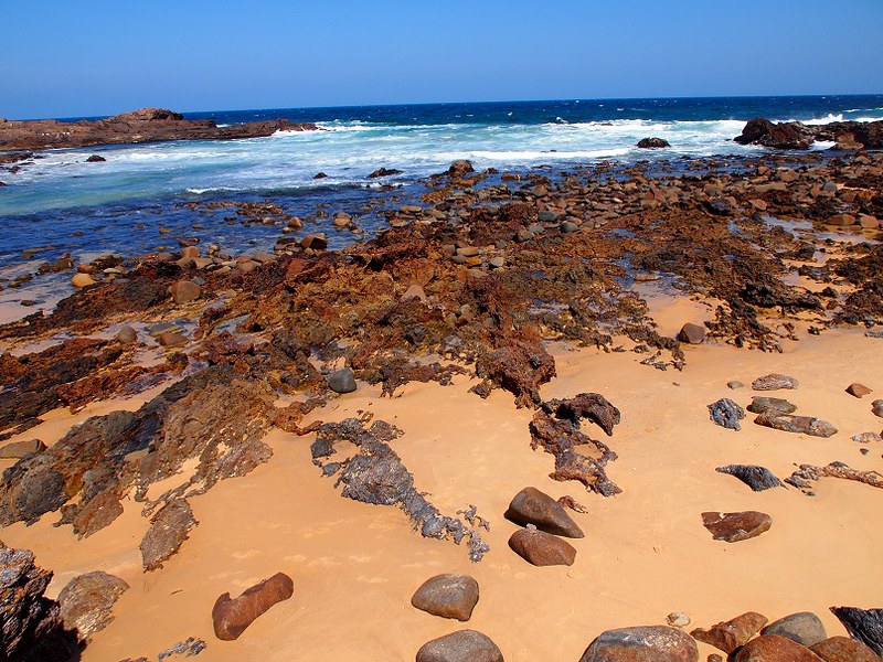Rocky coast at Mystery Bay