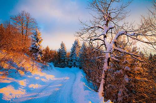 road trip travel trees winter sunset sky sun snow cold tree tourism nature beautiful clouds forest photoshop wonderful nice fantastic nikon perfect tour superb awesome sigma tourist slovenia journey stunning excellent slovenija lovely incredible 1020 hdr breathtaking turism d300 turist crni vrh photomatix brathtaking slod300