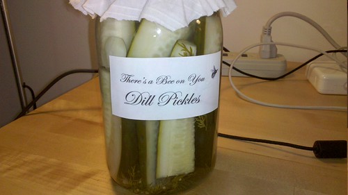 Homemade pickles! | by RobotSkirts