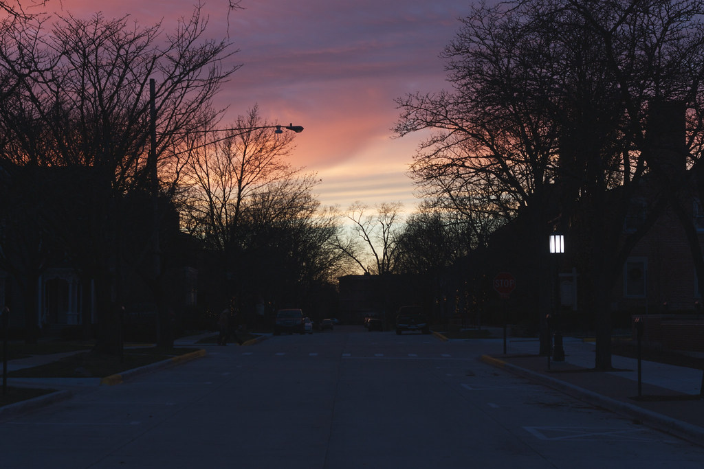 Quiet residential street with bare tree silhouettes and glowing lamps under a pink and violet sky.