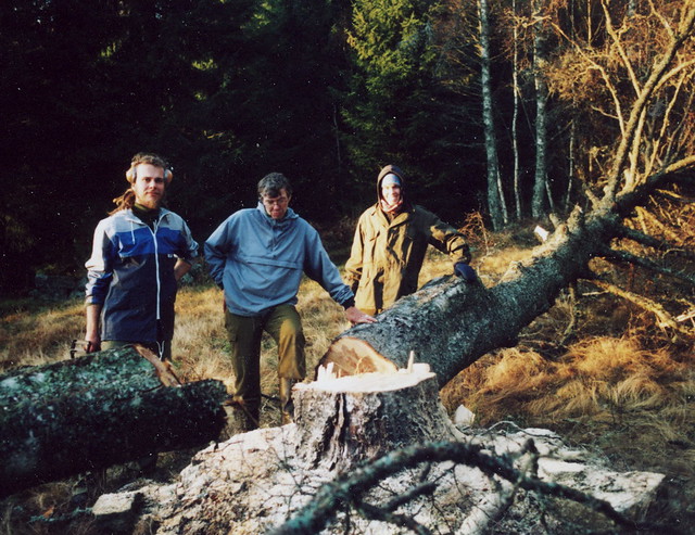 The birch was cut in 2006 / Bjørka ble felt i 2006