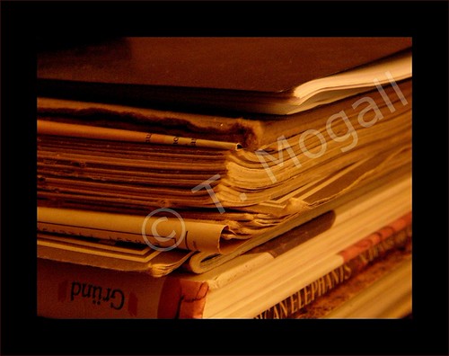 KNOWING NOTHING | by T. Mogall (m. mogall) ©