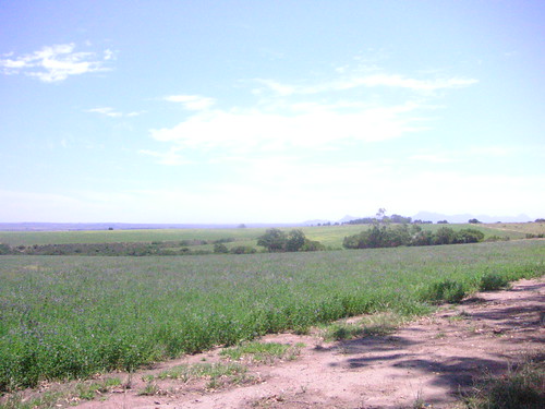 Port Elizabeth