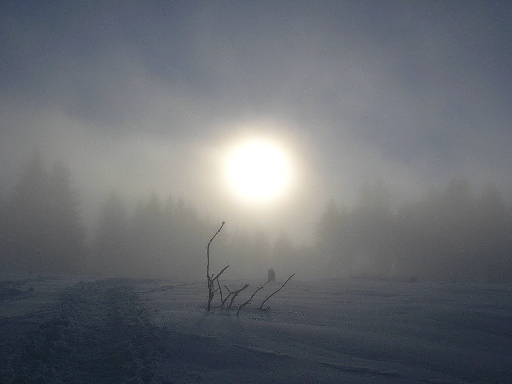 Foggy snow landscape