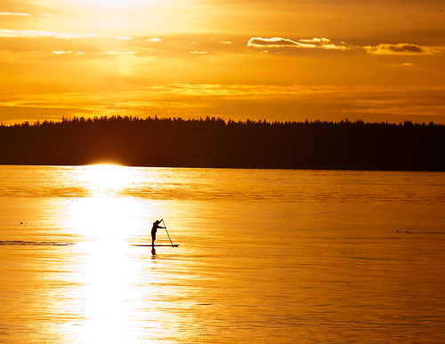 sunset silhouette washington alki westseattle pugetsound paddleboard paddleboarder