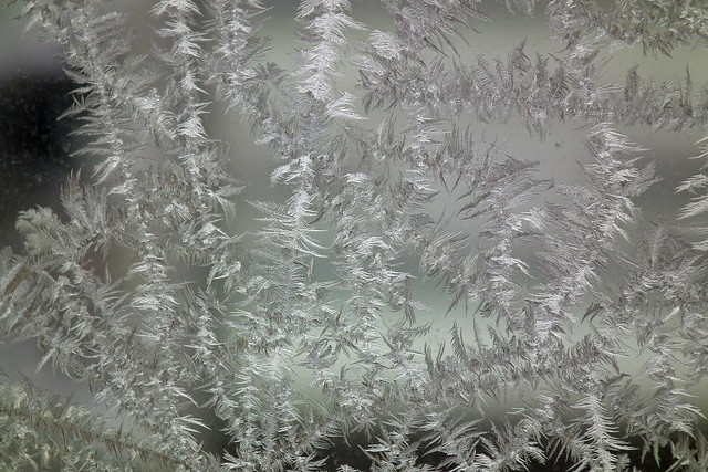 Ice Crystals On A Window During a Freezing Day in Toronto (2011)