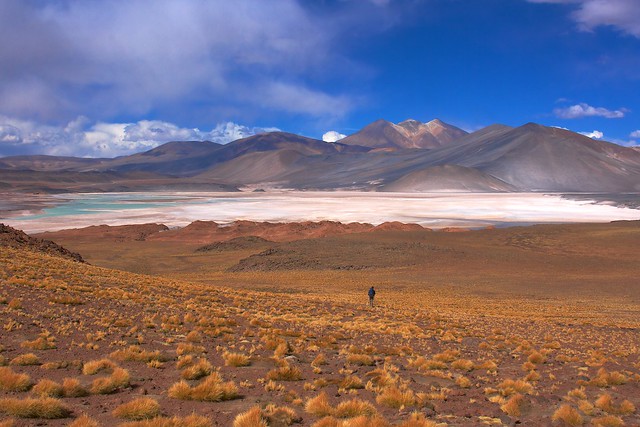 Salar de Talar - San Pedro de Atacama - Chile