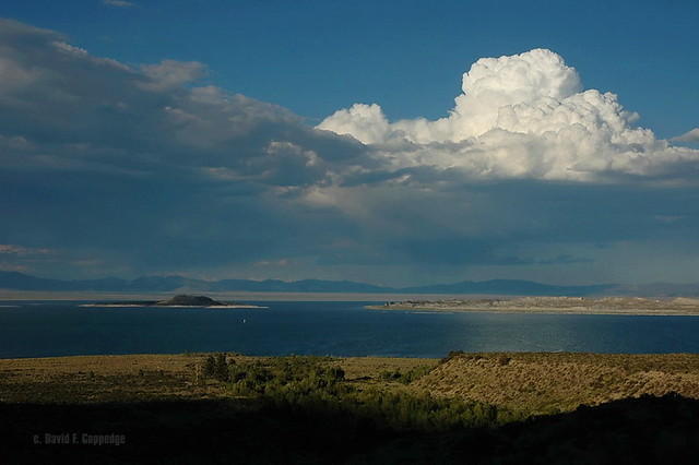 Thunderhead over Mono Lake