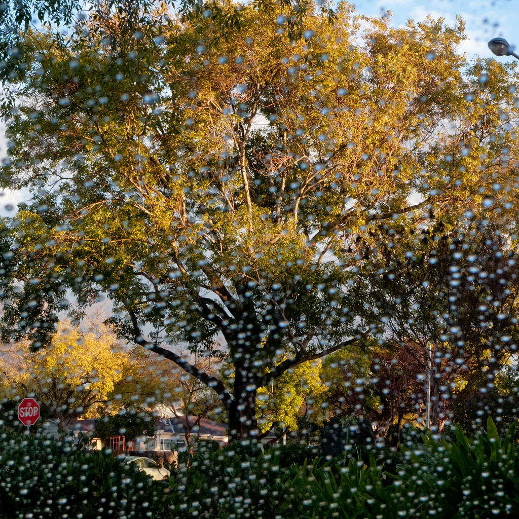 Late afternoon rainshower - San Mateo Ca (November 2010) by Alexis Gerard - Off for a while