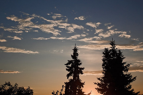 light sunset sky tree nature silhouette clouds canon serbia vršac vrsac